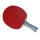 Ракетка для настольного тенниса Gewo PS Rave Action FL Red/Black (1073-931327) - изображение 2
