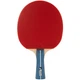 Ракетка для настольного тенниса Joola Team Premium Red/Black (1073-930772) - изображение 1