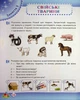 Зима. Робочий зошит дошкільника 4-5 років (середня група) - Тетяна Уварова - изображение 9