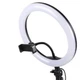 Кольцевая LED лампа светодиодная Ring Light USB 30см с креплением смартфона и штативом 1м - изображение 4