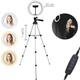 Кільцева світлодіодна LED лампа Ring Light 20см зі штативом 1м для візажистів та блогерів - зображення 1