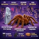 Радиоуправляемая игрушка «Паук» 16 см — движение лапок, светящиеся глаза, ИК-управление, модель 787 - изображение 7