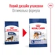 Сухой корм Royal Canin Maxi Adult 12 кг (R475535) - изображение 2
