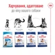 Сухой корм Royal Canin Maxi Adult 12 кг (R475535) - изображение 3