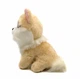 Мягкая игрушка TY Beanie Boos Собачка Honeycomb, высота 15 см 36571 - изображение 3