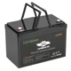 Аккумулятор Haswing LiFePO4 12.8V 100Ah 2026 г - изображение 1