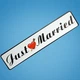 Весільні номери на машину "Just Married", пластикові 11х52 см (NZ-05) - изображение 3