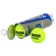 Мячи для падел-тенниса Teloon Padel, 3 шт., салатовый - изображение 2