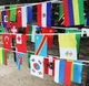 Гірлянда з прапорців країн Світу 24шт - 14x21см - 7м - зображення 5