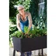 Грядка Keter Easy Grow Сіра 7290103660833 - изображение 3