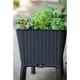 Грядка Keter Easy Grow Сіра 7290103660833 - изображение 5