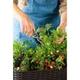 Грядка Keter Easy Grow коричнева 7290005559822 - зображення 5
