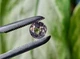 Шпинель 1.00Ct. 6.2 X 6.2 X 3.7 Mm (0517040) - изображение 8