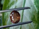 Турмалин 7.04 ct 12.7 X 10.2 X 7.4 mm (704127) - изображение 5