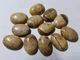 Яшма кабошон Размер 18*13*6 mm (35797) - изображение 2
