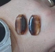 Натуральный агат пара 17 Ct 23 x 13 мм (09317) - изображение 3