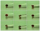 Натуральный турмалин 0.70ct 5.6x4.6mm (128560) - изображение 5