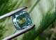 Муассанит 8.76 ct (82744189) - изображение 2