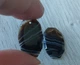 Натуральный агат пара 13 Ct 23 x 14 мм (09320) - изображение 5