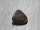 Опал 7.2ct 14.5x13.5mm (534370) - изображение 6
