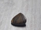 Опал 7.2ct 14.5x13.5mm (534370) - изображение 7