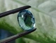 Натуральный топаз 12.86ct 16.2x12.2mm (18971) - изображение 5