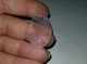 Рожевий кварц-кабошон 28.80 Ct 29.8 х 19.3 х 6.35 мм (24867) - зображення 5