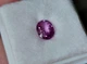 Саапфір 1.45 CT. 7.7 x 5.9 x 3.6 mm (981737) - зображення 8