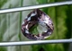 Шикарний аметрин 21.93 Ct. 19mm (2189) - зображення 1