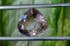 Шикарний аметрин 21.93 Ct. 19mm (2189) - зображення 3