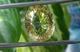 Лимонный кварц 26.96 ct 22.2 x 18 mm (269622) - изображение 7