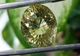 Лимонный кварц 24.33 ct 20 x 16.7 mm (243320) - изображение 8