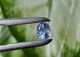 Сапфир 0.84 Cts 5.96 x4.73 x3.48 mm (8457575) - изображение 2