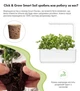 Сменный картридж для гроубокса Click and Grow Кориандр (8417) - изображение 5