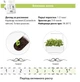 Сменный картридж для гроубокса Click and Grow Кориандр (8417) - изображение 7