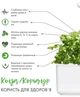 Сменный картридж для гроубокса Click and Grow Кориандр (8417) - изображение 8