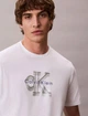 Мужская белая Calvin Klein с логотипом размер XL - изображение 2