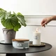 Ароматическая свеча в стекле Woodwick Large Sagewood & Seagrass 609 г (1728619E) - изображение 5