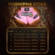 Комплект тайские шорты и брелок-талисман гиря для кикбоксинга мма муай тай тайского бокса смешанных единоборств мужские женские детские спортивные в зал с разрезами боксерские тренировочные сатиновые широкий пояс Univerza Розовые 4_3_M_11B - изображение 4