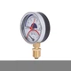 Термоманометр Thermo Alliance Standart 80 мм 1/2", нижня підключка SD1726B - зображення 3