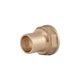 Штуцер Thermo Alliance Standart 25х1" ВР SD4262525 - зображення 1