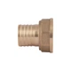 Штуцер Thermo Alliance Standart 25х1" ВР SD4262525 - зображення 4