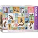 Пазл Eurographics Йога. Кошки 1000 элементов (6000-0953) EuroGraphics 6000-0953 1024804 - изображение 1