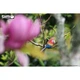 Пазл Eugy 3D Зоопарк Попугай Ара (XEG-023) Eugy XEG-023 1026237 - изображение 8