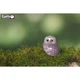 Пазл Eugy 3D Зоопарк Сова (XEG-044) Eugy XEG-044 1026272 - изображение 8