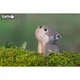 Пазл Eugy 3D Зоопарк Вовк (XEG-040) Eugy XEG-040 1026084 - зображення 5