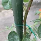 Підв'язувальний дріт Twist Tie 100 м для рослин, кущів, дерев, Дріт садовий для підв'язки рослин. (0786) - зображення 4