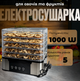 Електросушарка для овочів та фруктів Rainberg 5 піддонів механічний терморегулятор захист від перегріву 1000 Вт - зображення 1