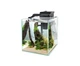 Zestaw akwariowy AquaEl Fish Shrimp DUO 35 D N 2.0 35 x 35 x 40 cm Czarny (5905546347334) - obraz 9