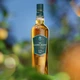 Виски Glen Grant 12 лет выдержки 0.7 л 40% в подарочной упаковке (5024576000573) - изображение 4